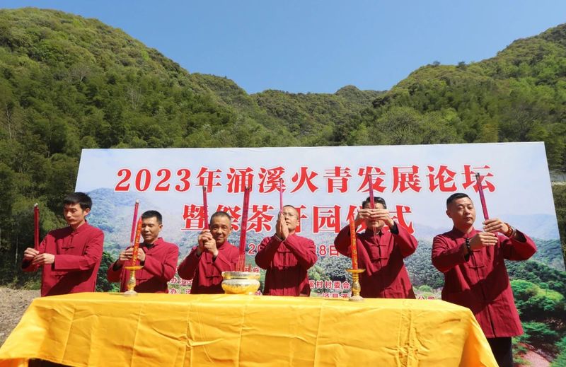 关于历史名茶涌溪火青今日开园的消息(5)