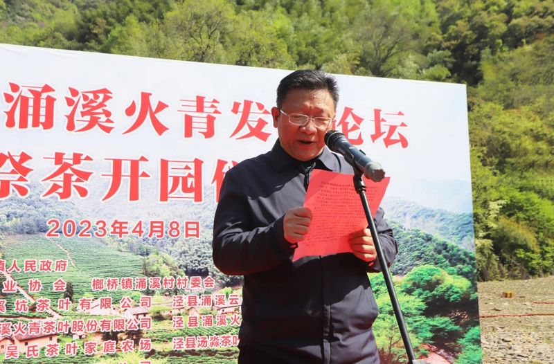 关于历史名茶涌溪火青今日开园的消息(3)