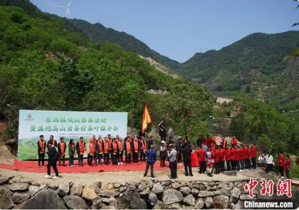 关于遇见福建：生态茶园催生茶旅融合发展的最新消息