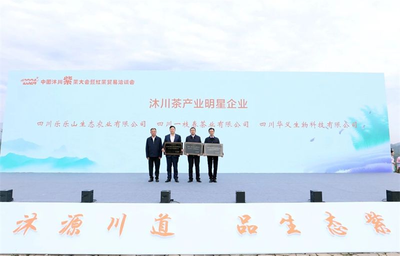 关于2024中国沐川紫茶大会暨红茶贸易洽谈会开幕的内容(8)