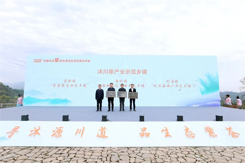 关于2024中国沐川紫茶大会暨红茶贸易洽谈会开幕的内容(7)