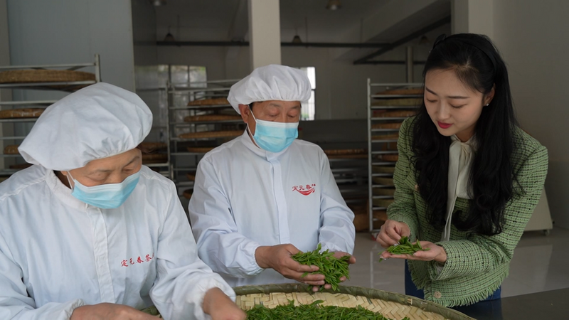 关于镇巴唯一国家级制茶大师手工制茶展技艺的最新消息(1)