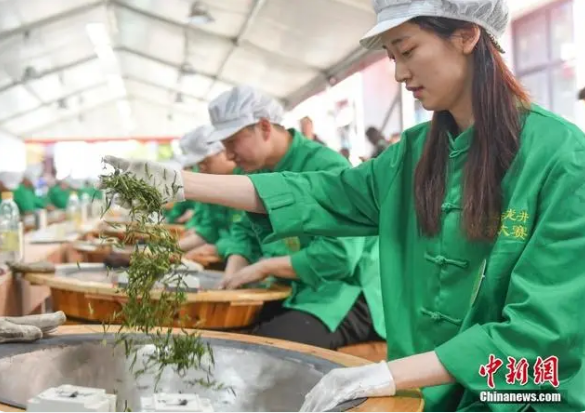 关于浙江杭州：西湖龙井茶炒茶王大赛举行的相关信息(2)