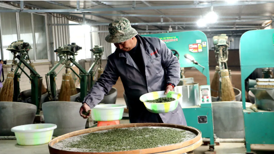 有关于茶叶产销两旺 实现首季“开门红”的新闻(2)