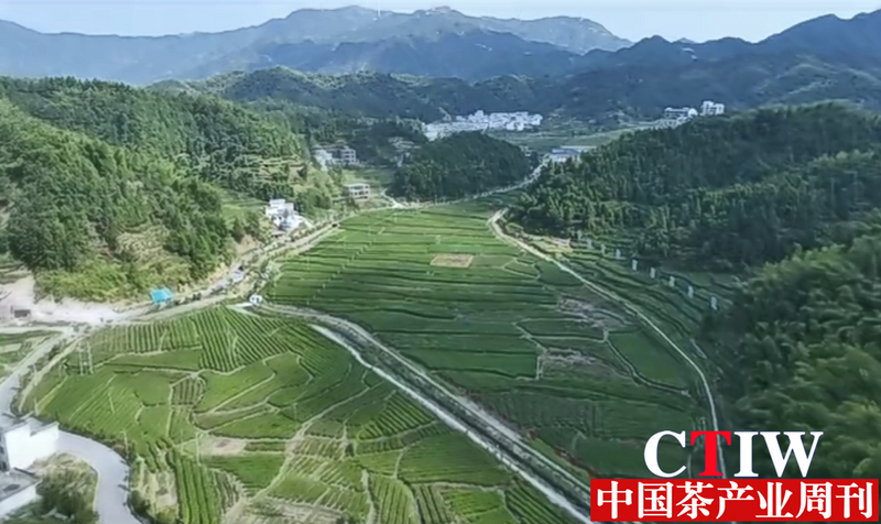 关于2024第四届“品茗怀祖”暨常宁塔山茶品牌推介会在常宁市举行的信息(14)