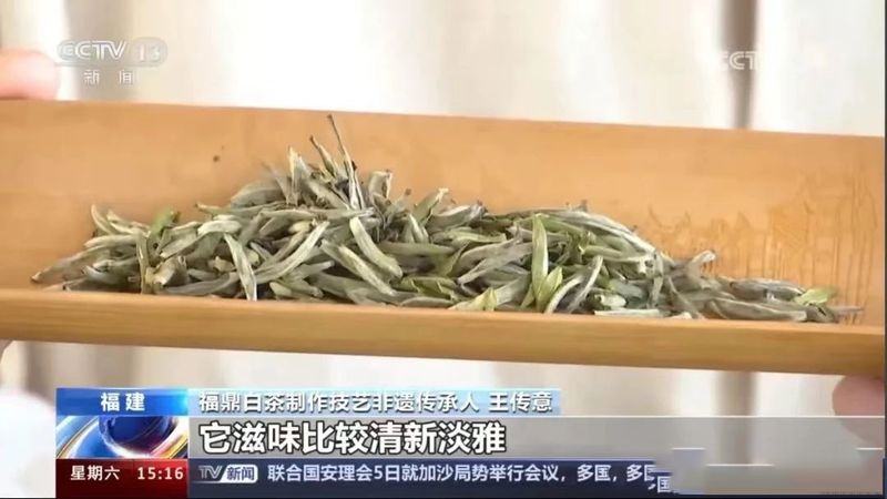 有关于福鼎： 一茶一叶，福鼎白茶再上央视的消息(2)
