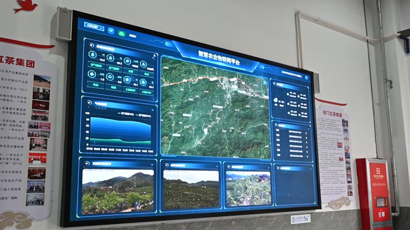 关于安徽省祁门 数智赋能茶产业 智慧种茶新模式的最新消息(1)