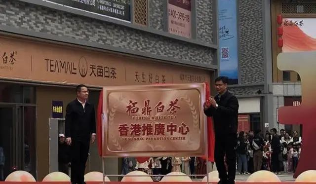 有关于白茶飘香 第十三届福鼎白茶开茶节·2024白茶交易大会在福鼎举行的相关内容