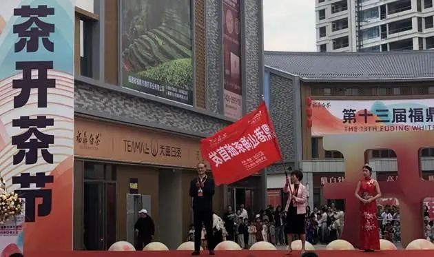 有关于白茶飘香 第十三届福鼎白茶开茶节·2024白茶交易大会在福鼎举行的相关内容(1)