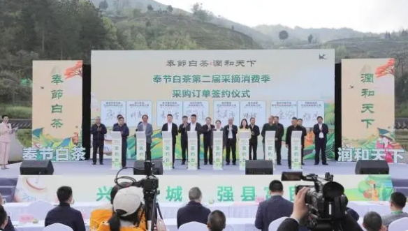 关于签约采购茶叶11万斤 奉节白茶第二届采摘消费季活动开幕的相关信息