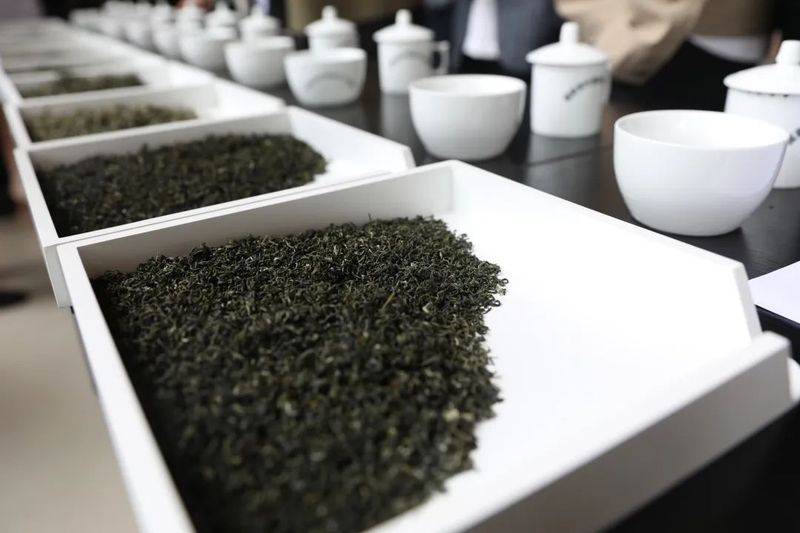 关于沐川首届斗茶大会举行 助力茶产业高质量发展的新闻(1)