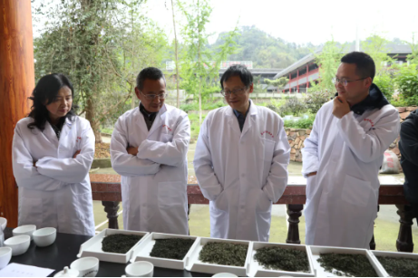 关于沐川首届斗茶大会举行 助力茶产业高质量发展的新闻(3)