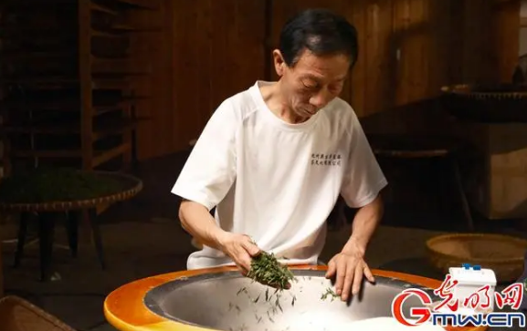 关于西湖龙井采摘忙 春茶炒制共富香的内容(2)