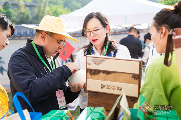 关于“2024南华兔乐之古茶文化节·春日熹宴”拉开帷幕的信息(3)