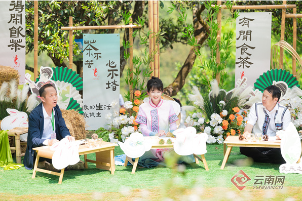 关于“2024南华兔乐之古茶文化节·春日熹宴”拉开帷幕的信息