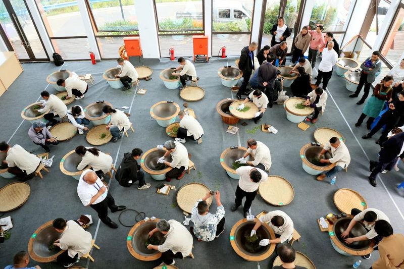 有关于2024中国沐川紫茶大会手工制茶比赛举行的相关内容(13)