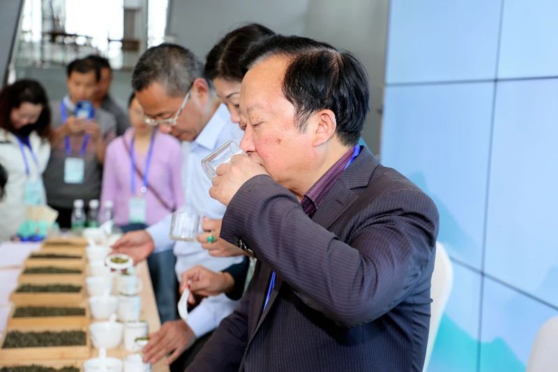 有关于2024中国沐川紫茶大会手工制茶比赛举行的相关内容(8)