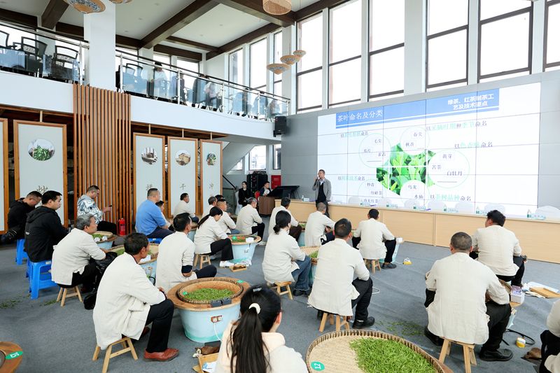 有关于2024中国沐川紫茶大会手工制茶比赛举行的相关内容