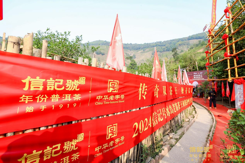 有关于谁有老班章、冰岛五寨茶王树采摘权？的相关信息