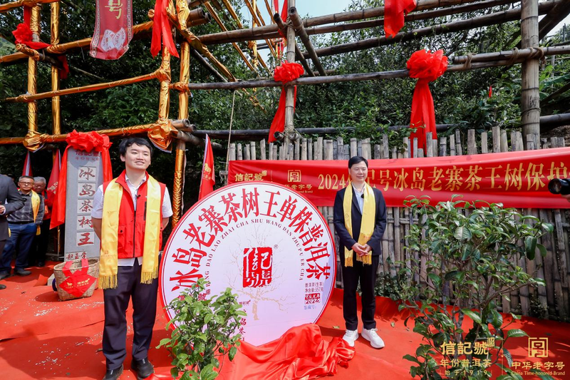 有关于谁有老班章、冰岛五寨茶王树采摘权？的相关信息(5)