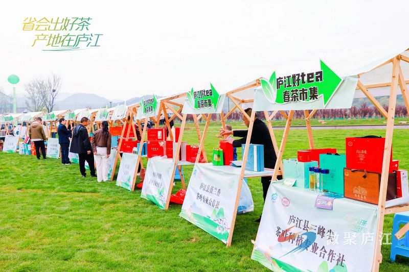 有关于第十六届合肥庐江白云春毫茶文化旅游季开幕的相关信息(6)