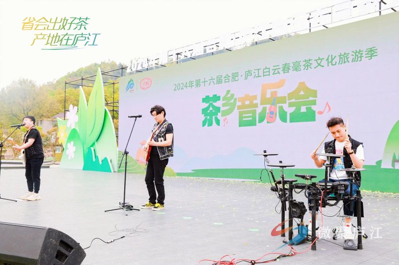有关于第十六届合肥庐江白云春毫茶文化旅游季开幕的相关信息(14)