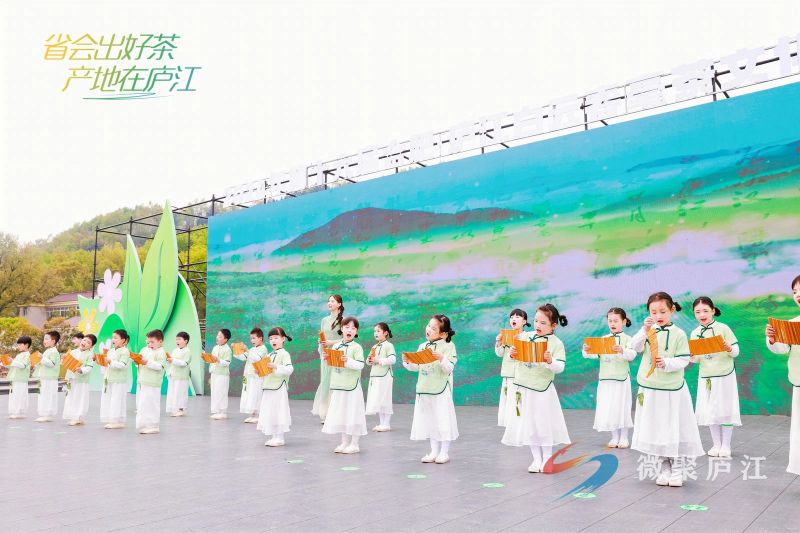 有关于第十六届合肥庐江白云春毫茶文化旅游季开幕的相关信息(8)
