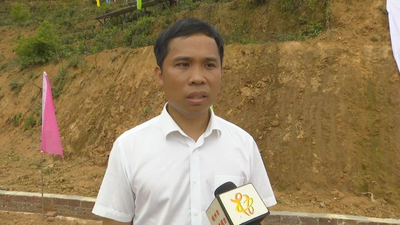 有关于春茶飘香采茶忙 全市生态茶园面积达33.34万亩的相关内容(4)