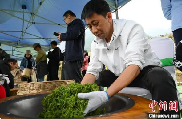 关于打造“茶旅”名片 西藏墨脱首届茶文化旅游季开幕 的最新消息(7)