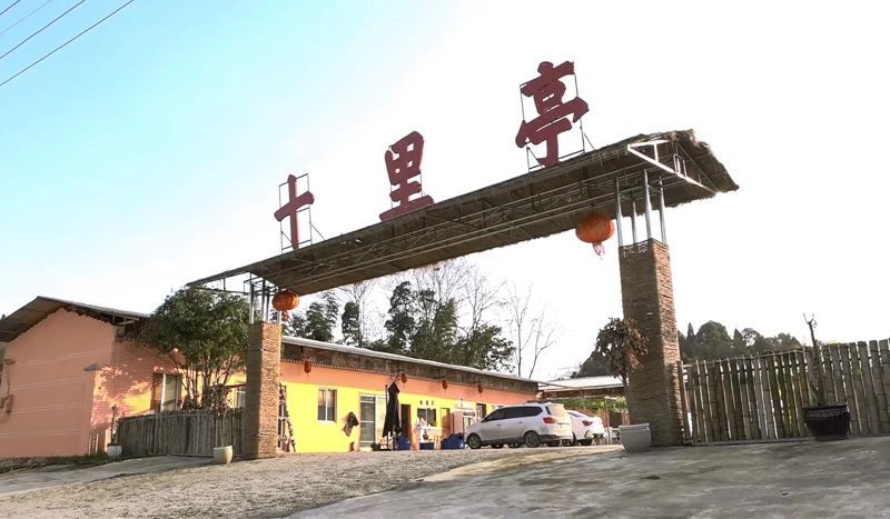 关于何坝街道水河村：一片茶叶解锁致富密码的消息(4)