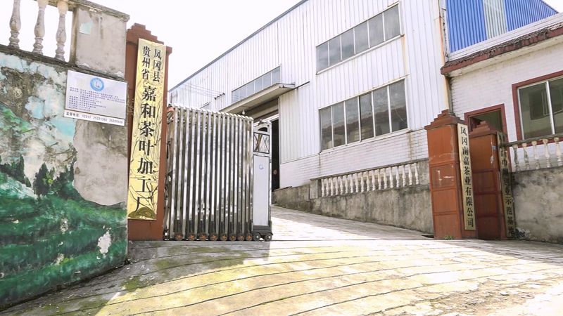 关于何坝街道水河村：一片茶叶解锁致富密码的消息(3)