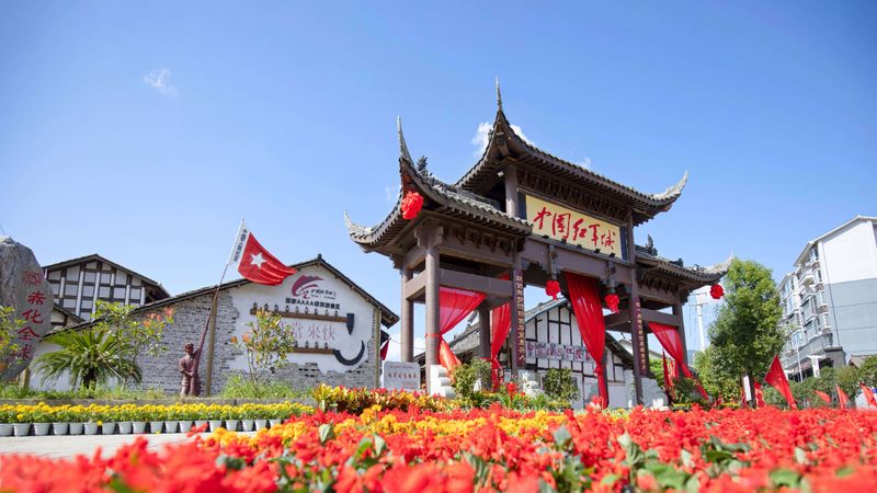 关于千年飘香，带你一览米仓山茶史的相关信息(9)