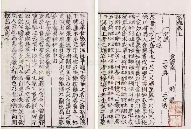 关于千年飘香，带你一览米仓山茶史的相关信息(2)