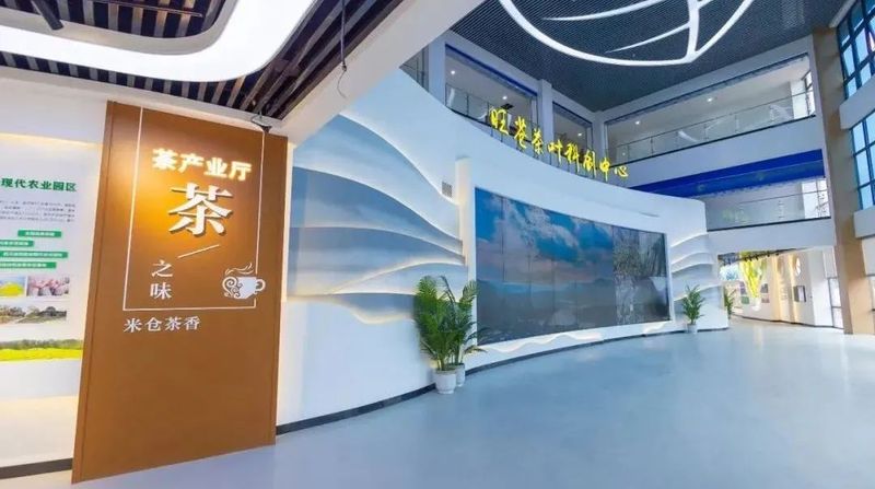关于千年飘香，带你一览米仓山茶史的相关信息(11)
