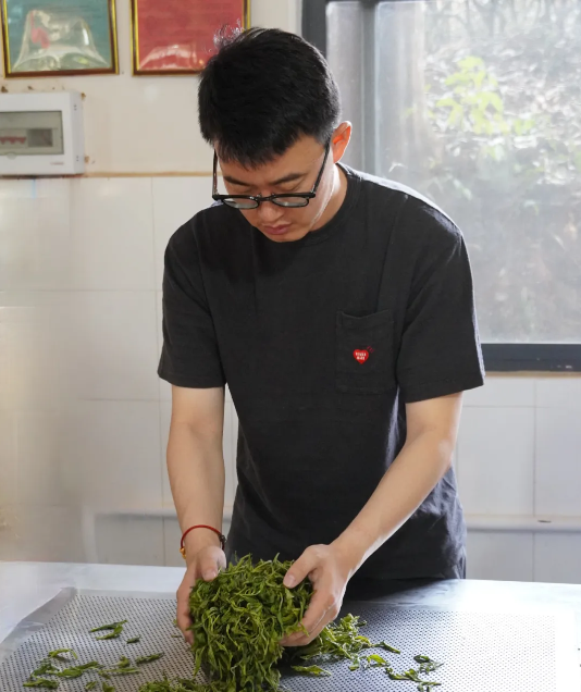 有关于普洱思茅：体验茶文旅魅力 茶园“新中式出游”受青睐的相关信息(7)