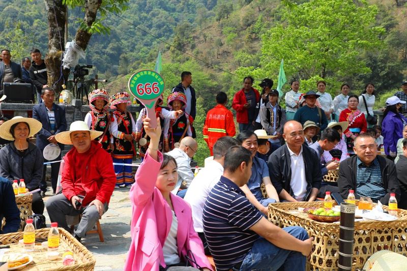 关于景东县2024年“无量论茶”安定镇南诏贡茶园分会场活动火热开启的新闻(8)