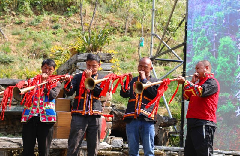 关于景东县2024年“无量论茶”安定镇南诏贡茶园分会场活动火热开启的新闻(5)