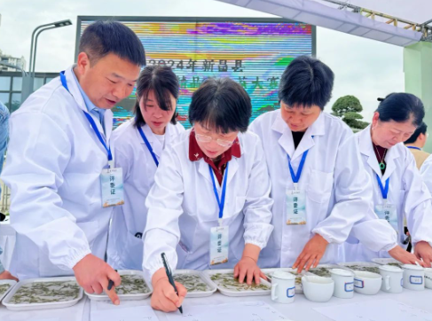 关于2024年新昌县大佛龙井精品茶斗茶大赛隆重举行的内容(1)