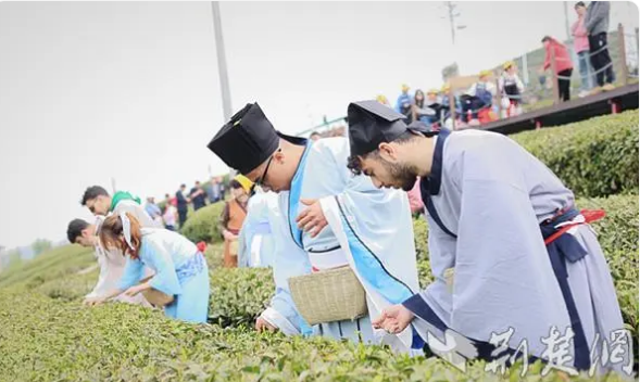 关于湖北省竹山县举办“茶缘中外·飞云留香”茶旅活动的信息(3)