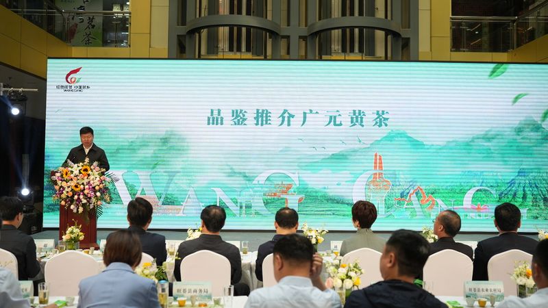 关于旺苍好茶飘香泉城 2024年首场米仓山茶品鉴推介活动走进山东的相关内容