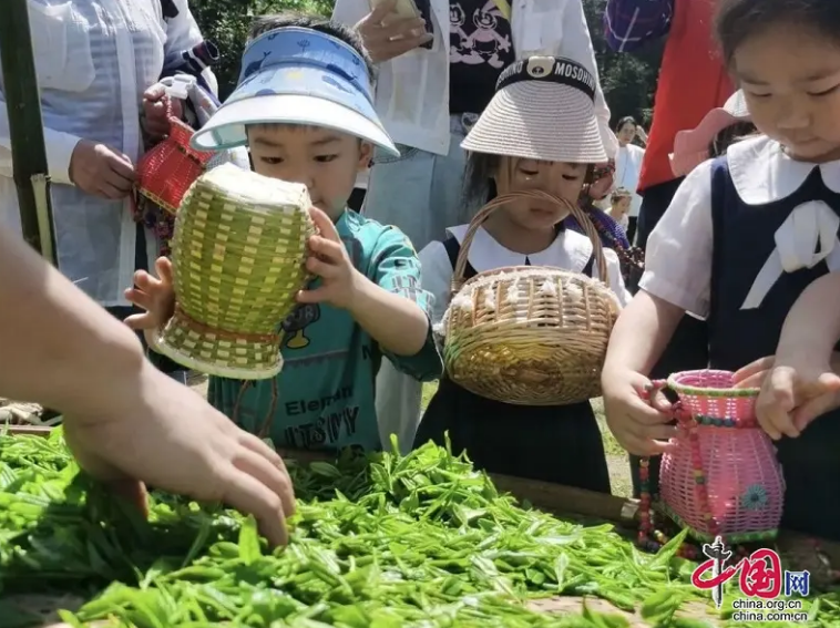 有关于广安前锋区“茶”找致富密码的信息(4)