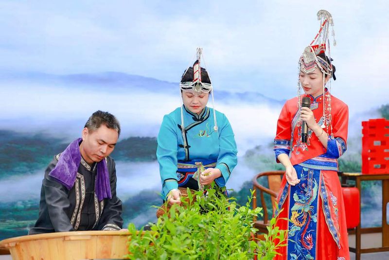 有关于民族风，中国茶；中国茶，世界品——首届民族茶艺大赛在景宁畲族自治县举行的资讯(16)