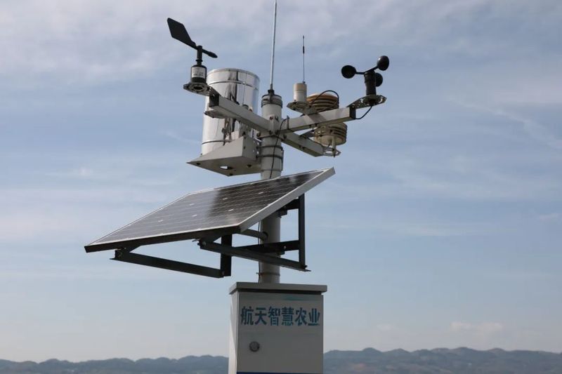 有关于石阡：“大数据+”助力茶产业高质量发展的消息