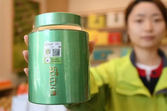 关于春到余村 茶园吐新的信息(8)