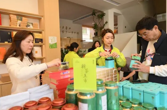 关于春到余村 茶园吐新的信息(7)