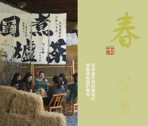 关于春到余村 茶园吐新的信息(11)