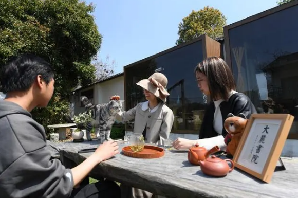 关于春到余村 茶园吐新的信息(12)