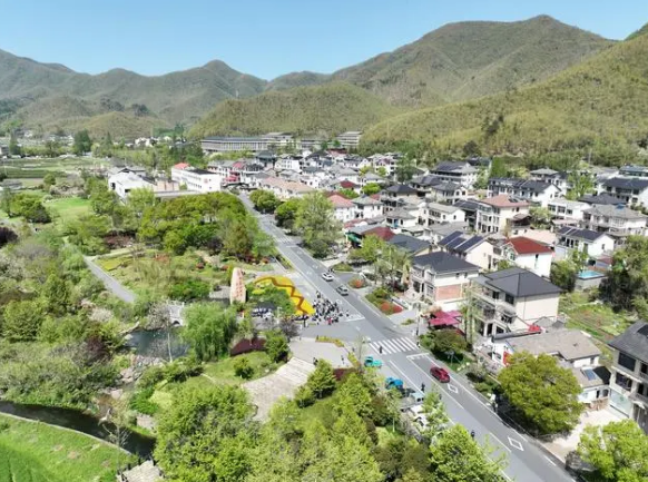 关于春到余村 茶园吐新的信息(3)