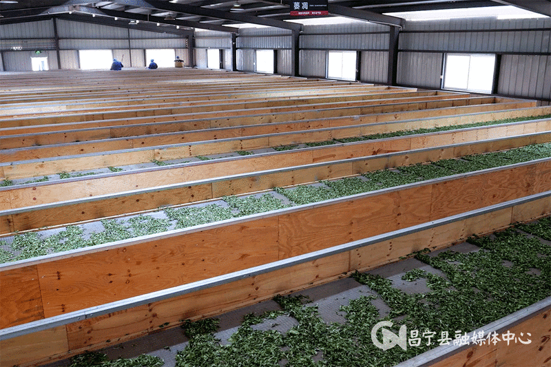 有关于​昌宁红茶产业从“单打独斗”变“抱团发展”的相关信息(3)