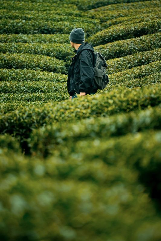 关于这般肆意的春天,来武义呼朋唤友品茶去的内容(7)